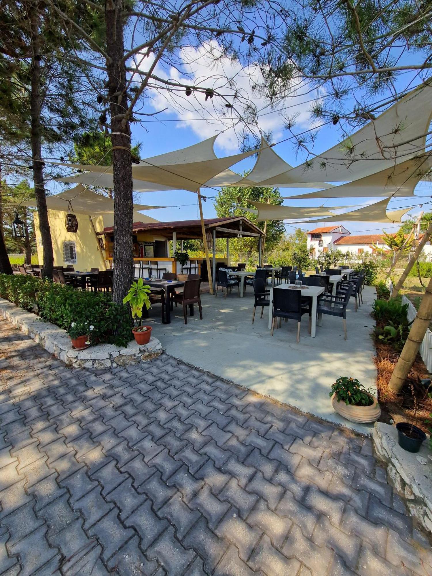 Apartament Alexandra 7 *